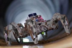 享受和团队们因热爱而聚